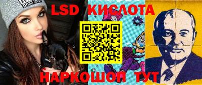 индика Будённовск