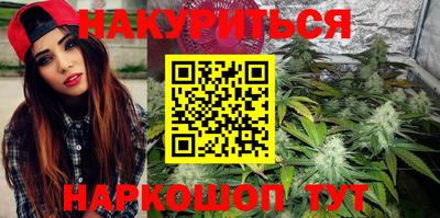 индика Будённовск