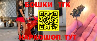 индика Будённовск
