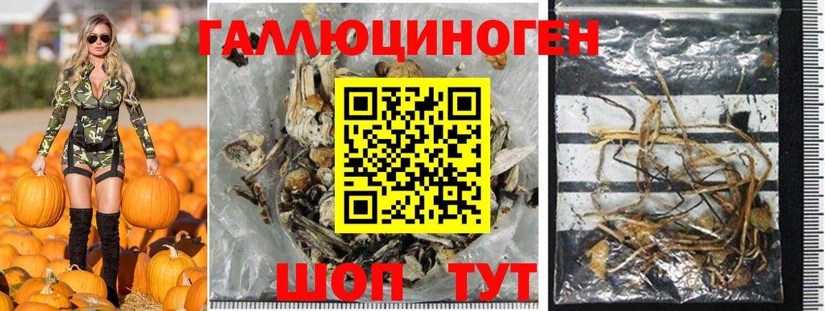 Топки  Псилоцибиновые грибы Psilocybine cubensis  Вход с VPN 