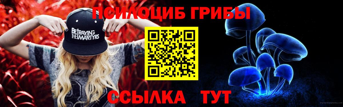 Галлюциногенные грибы GOLDEN TEACHER Топки